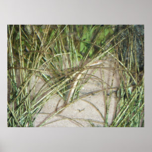 Póster Poster del estuario #2