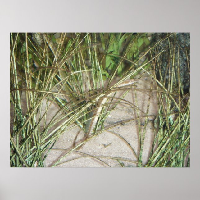 Póster Poster del estuario #2 (Frente)