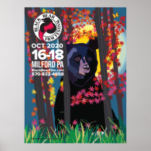 Póster poster del Festival de Cine del Oso Negro 2020