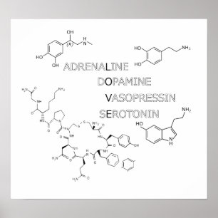 Póster Poster del friki del amor de la estructura química