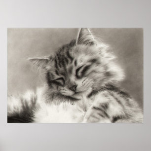 Póster Poster del gato del gato principal de la bobina