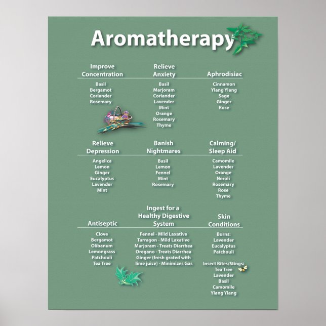 Póster Poster del gráfico de aromaterapia verde mosca (Frente)