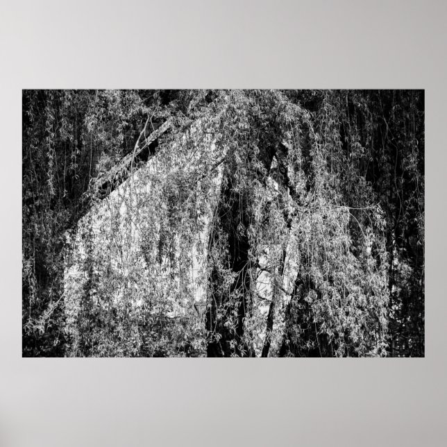 Póster poster del hogar de por vida (Frente)