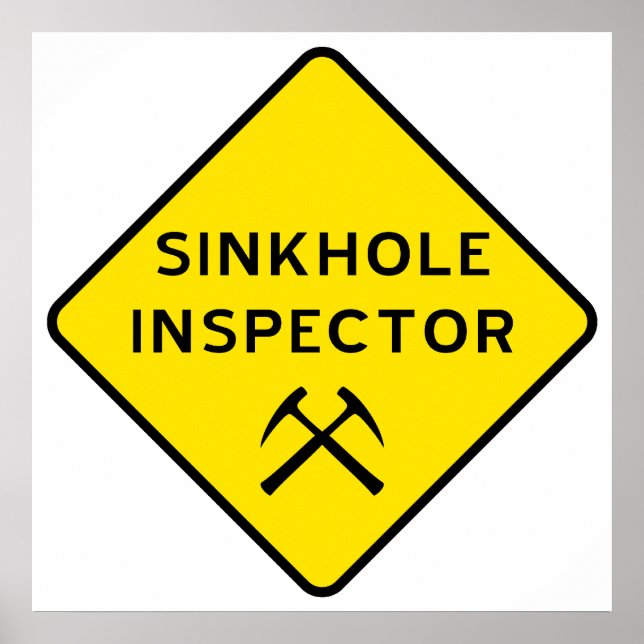 Póster Poster del inspector de Sinkhole (Frente)