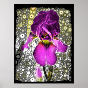 Póster Poster del iris de la uva