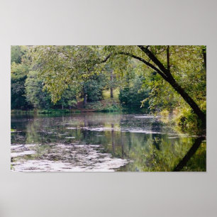 Póster poster del lago biltmore