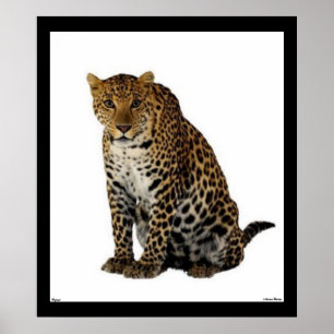 Póster Poster del leopardo
