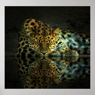 Póster Poster del leopardo