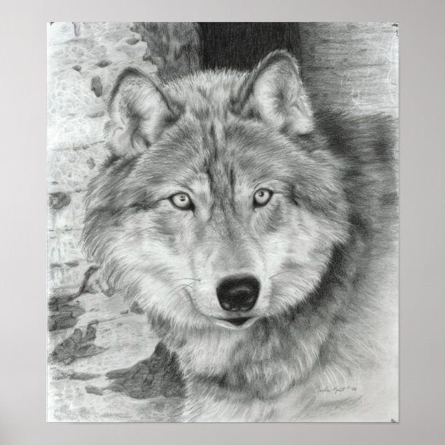 Póster Poster del lobo de los ojos atentos (Frente)