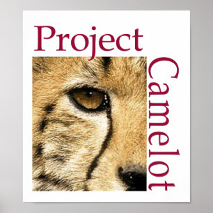 Póster Poster del logotipo de Camelot del proyecto