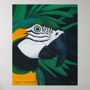 Póster Poster del Macaw