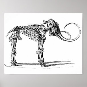 Póster Poster del mamut lanoso