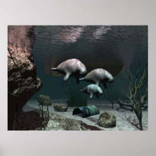 Póster Poster del Manatee