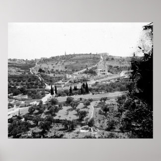 Póster Poster del Monte de las Olivas
