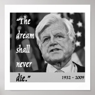 Póster poster del monumento de ted Kennedy