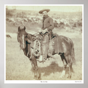 Póster Poster "del muchacho de la vaca"