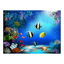 Poster del mundo marino