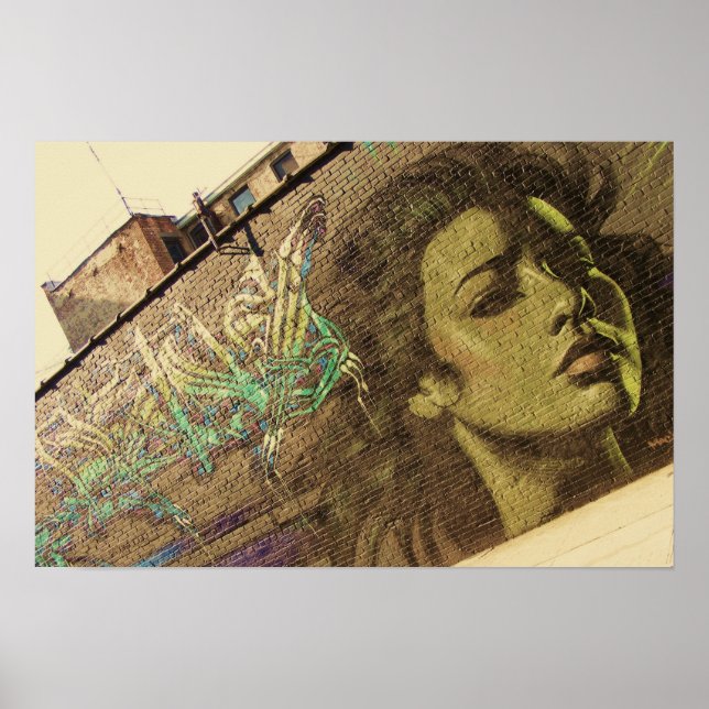 Póster Poster del Muro de Graffitti en Brooklyn (Frente)