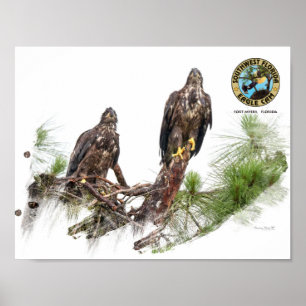 Póster Poster del Muro de la Cam del Águila SWFL