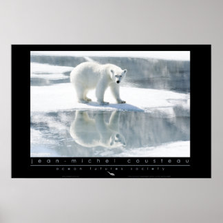 Póster Poster del oso polar