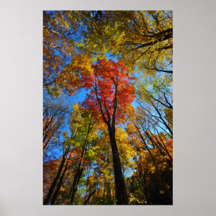 Póster Poster del otoño