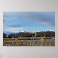 Poster del paisaje acuático de los refugiados