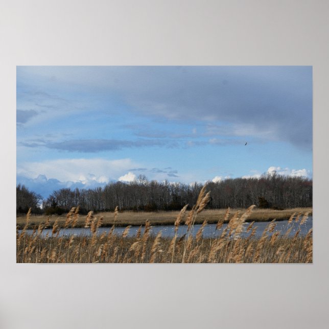 Póster Poster del paisaje acuático de los refugiados (Frente)