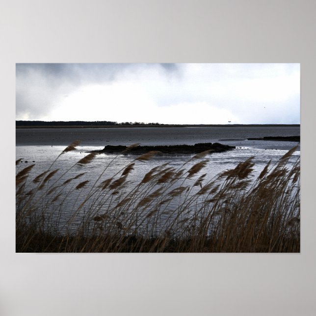 Póster Poster del paisaje acuático de los refugiados (Frente)