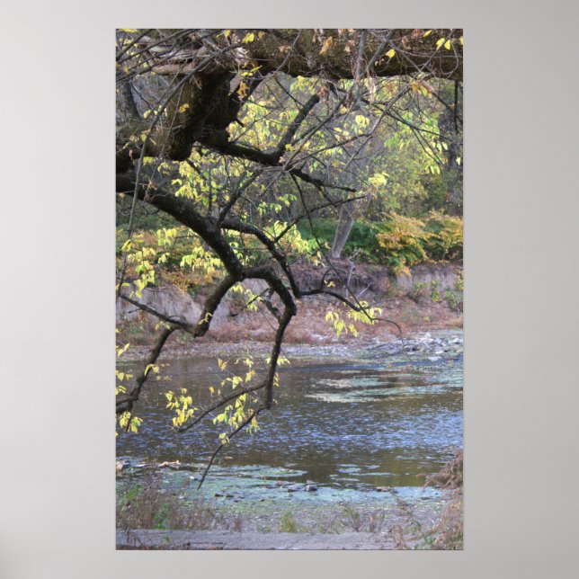 Póster Poster del paisaje acuático otoñal (Frente)