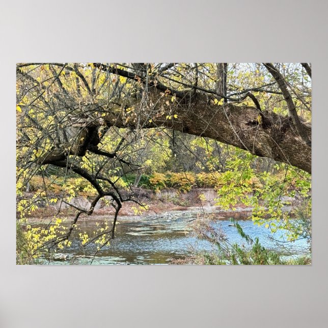 Póster Poster del paisaje acuático otoñal (Frente)