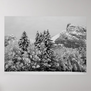 Póster Poster del paisaje del invierno