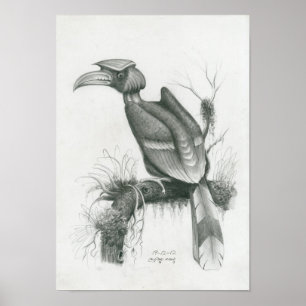 Póster Poster del pájaro camboyano del Hornbill de Vannak
