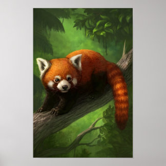 Póster Poster del Panda Rojo