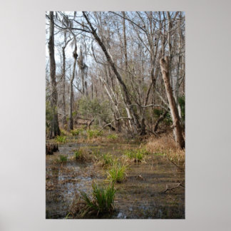 Póster Poster del pantano de Louisiana