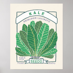 Póster Poster del paquete Kale Seed