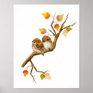 Póster Poster del par de pájaros resplandecientes