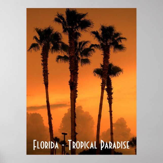 Póster Poster del Paraíso Tropical de Florida (Frente)