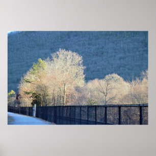Póster Poster del Parque Estatal Trees Lehigh Gorge