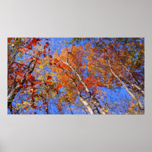 Póster Poster del Parque Nacional West Mt Otoño Hot Sprin