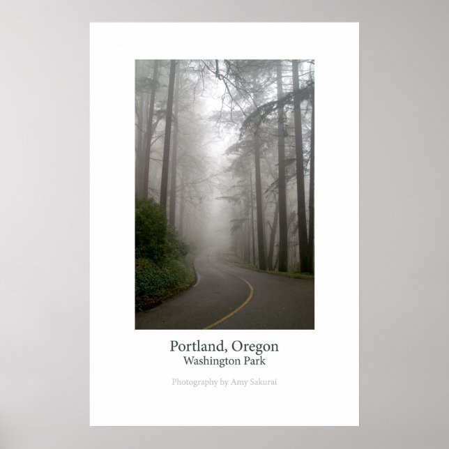 Póster Poster del Parque Washington (Frente)