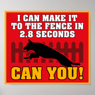 Póster Poster del pastor alemán