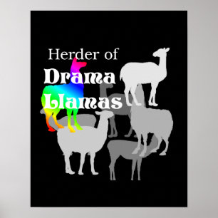 Póster Poster del pastor de la llama del drama