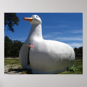 Póster Poster del pato de Long Island