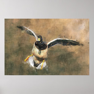 Póster Poster del pato del vuelo