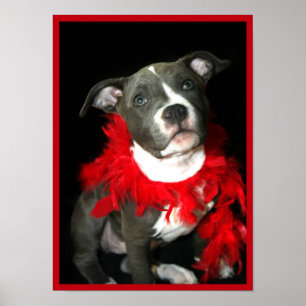 Póster Poster del perrito de Pitbull