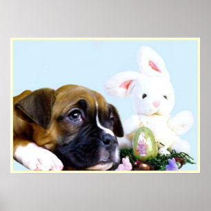 Póster Poster del perrito del boxeador de Pascua
