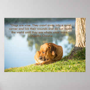 Póster Poster del perro de Boerboel con cita inspiradora