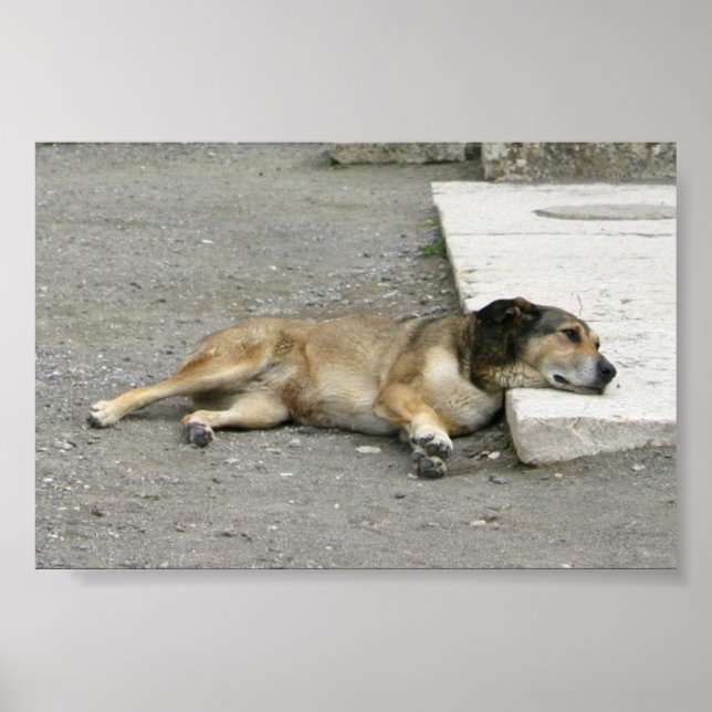 Póster Poster del Personalizado de perro cansado (Frente)