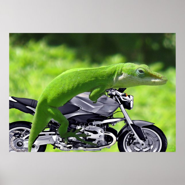 Póster Poster del piloto gecko verde hawaiano (Frente)