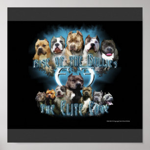 Póster Poster del pitbull